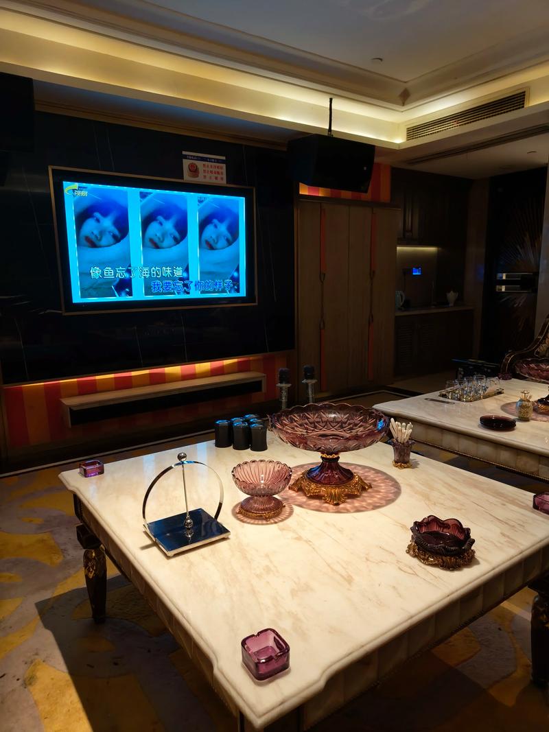 铁岭商务ktv单人包间-银州区ktv预定